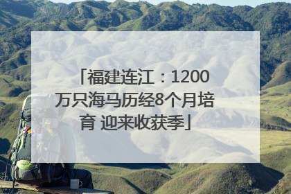 福建连江：1200万只海马历经8个月培育 迎来收获季