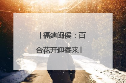 福建闽侯：百合花开迎客来