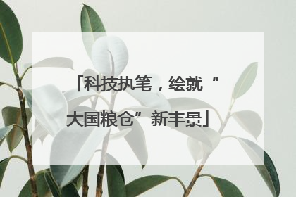 科技执笔，绘就“大国粮仓”新丰景