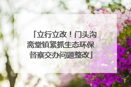 立行立改！门头沟斋堂镇紧抓生态环保督察交办问题整改