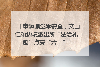 童趣课堂学安全，文山仁和边境派出所“法治礼包”点亮“六一”