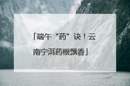 端午“药”诀！云南宁洱药根飘香