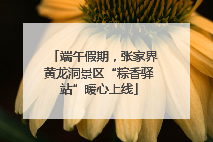 端午假期，张家界黄龙洞景区“粽香驿站”暖心上线