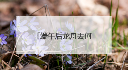 端午后龙舟去何处？黄龙溪：将到水中“沉睡”，明年再“上班”