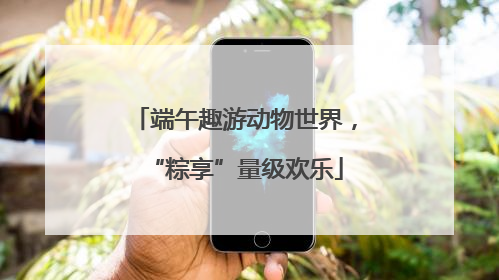 端午趣游动物世界，“粽享”量级欢乐