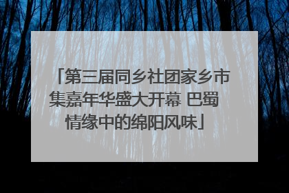 第三届同乡社团家乡市集嘉年华盛大开幕 巴蜀情缘中的绵阳风味