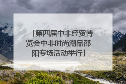 第四届中非经贸博览会中非时尚潮品邵阳专场活动举行