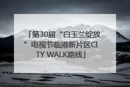 第30届“白玉兰绽放”电视节临港新片区CITY WALK路线