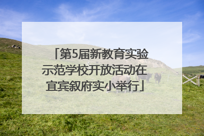 第5届新教育实验示范学校开放活动在宜宾叙府实小举行