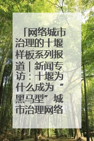网络城市治理的十堰样板系列报道｜新闻专访：十堰为什么成为“黑马型”城市治理网络维度典型