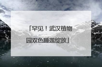 罕见！武汉植物园双色睡莲绽放