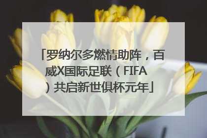 罗纳尔多燃情助阵，百威X国际足联（FIFA）共启新世俱杯元年