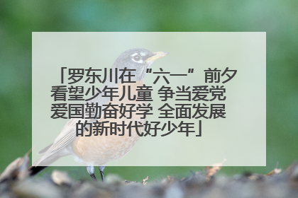 罗东川在“六一”前夕看望少年儿童 争当爱党爱国勤奋好学 全面发展的新时代好少年