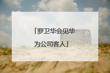 罗卫华会见华为公司客人