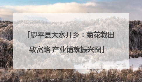 罗平县大水井乡：菊花栽出致富路 产业铺就振兴图