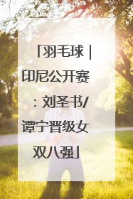 羽毛球｜印尼公开赛：刘圣书/谭宁晋级女双八强