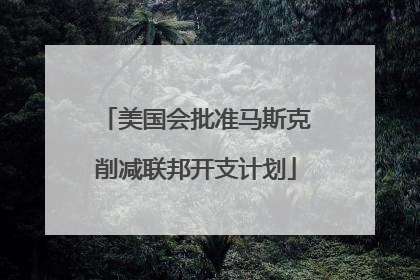 美国会批准马斯克削减联邦开支计划