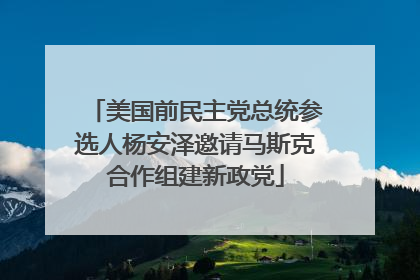 美国前民主党总统参选人杨安泽邀请马斯克合作组建新政党