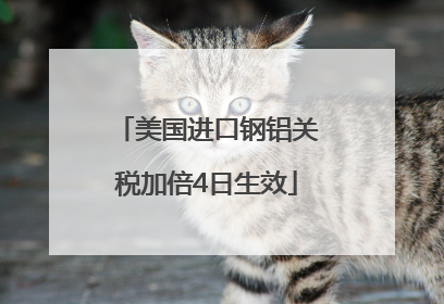 美国进口钢铝关税加倍4日生效