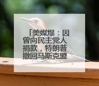 美媒爆：因曾向民主党人捐款，特朗普撤回马斯克盟友出任NASA局长提名
