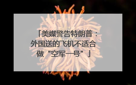 美媒警告特朗普：外国送的飞机不适合做“空军一号”