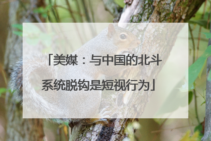 美媒：与中国的北斗系统脱钩是短视行为