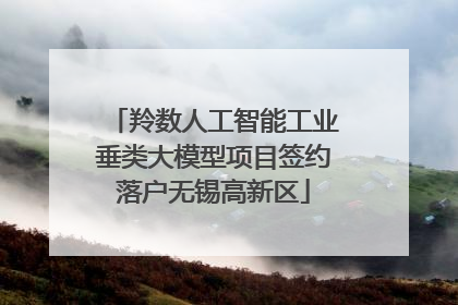 羚数人工智能工业垂类大模型项目签约落户无锡高新区