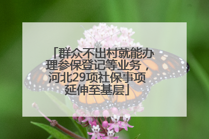 群众不出村就能办理参保登记等业务，河北29项社保事项延伸至基层