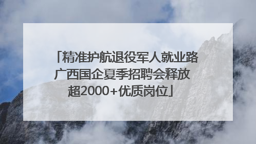 精准护航退役军人就业路 广西国企夏季招聘会释放超2000+优质岗位