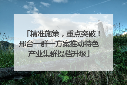 精准施策，重点突破！邢台一群一方案推动特色产业集群提档升级