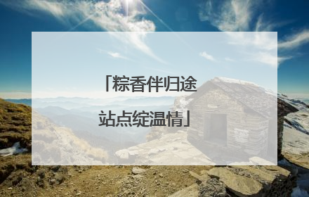 粽香伴归途 站点绽温情
