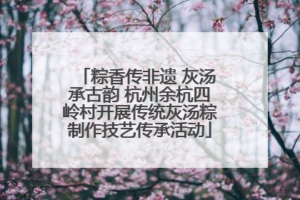 粽香传非遗 灰汤承古韵 杭州余杭四岭村开展传统灰汤粽制作技艺传承活动