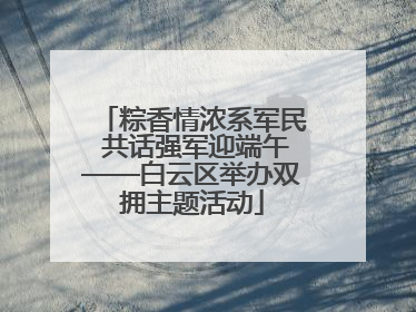 粽香情浓系军民 共话强军迎端午——白云区举办双拥主题活动