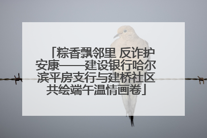 粽香飘邻里 反诈护安康——建设银行哈尔滨平房支行与建桥社区共绘端午温情画卷