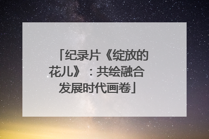 纪录片《绽放的花儿》：共绘融合发展时代画卷