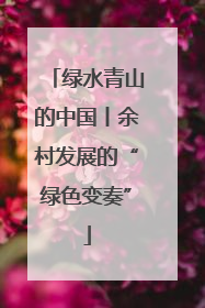绿水青山的中国丨余村发展的“绿色变奏”