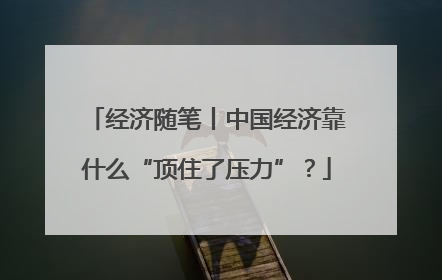 经济随笔丨中国经济靠什么“顶住了压力”？