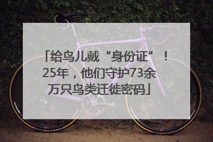 给鸟儿戴“身份证”！25年，他们守护73余万只鸟类迁徙密码