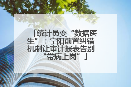 统计员变“数据医生”：宁阳前置纠错机制让审计报表告别“带病上岗”