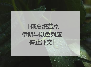 俄总统普京：伊朗与以色列应停止冲突