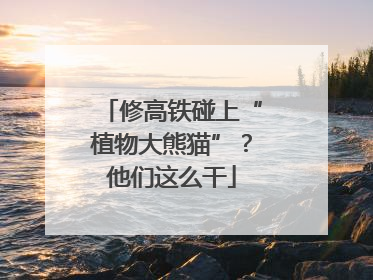 修高铁碰上“植物大熊猫”？他们这么干
