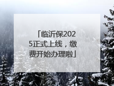 临沂保2025正式上线，缴费开始办理啦