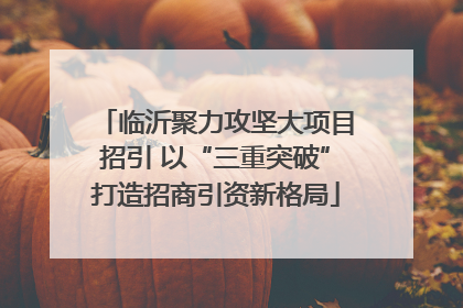 临沂聚力攻坚大项目招引 以“三重突破”打造招商引资新格局