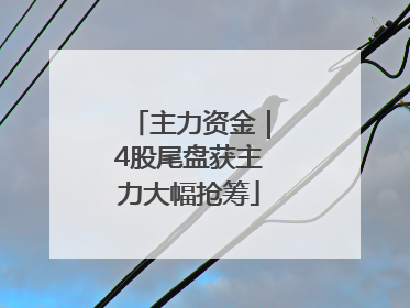 主力资金｜4股尾盘获主力大幅抢筹