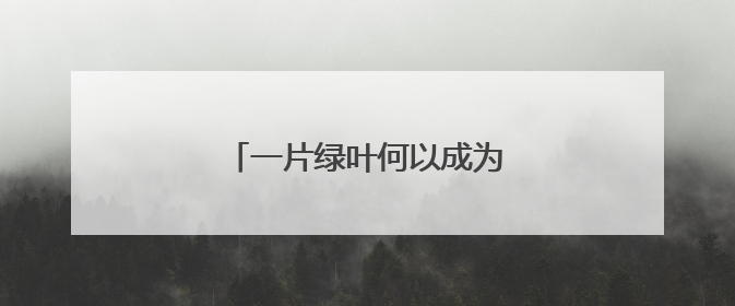 一片绿叶何以成为乡村振兴“金叶”