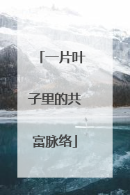 一片叶子里的共富脉络