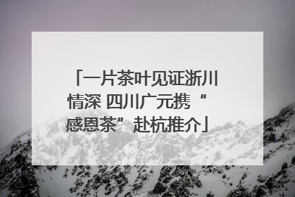 一片茶叶见证浙川情深 四川广元携“感恩茶”赴杭推介