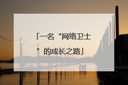 一名“网络卫士”的成长之路