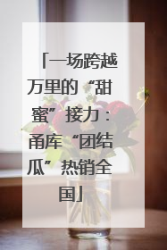 一场跨越万里的“甜蜜”接力：甬库“团结瓜”热销全国