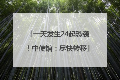 一天发生24起恐袭！中使馆：尽快转移